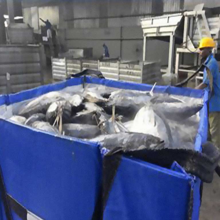 Case Study Optimising The Skipjack Tuna Packaging